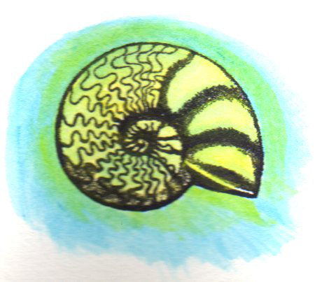 Painted ammonite rubber stamp.
