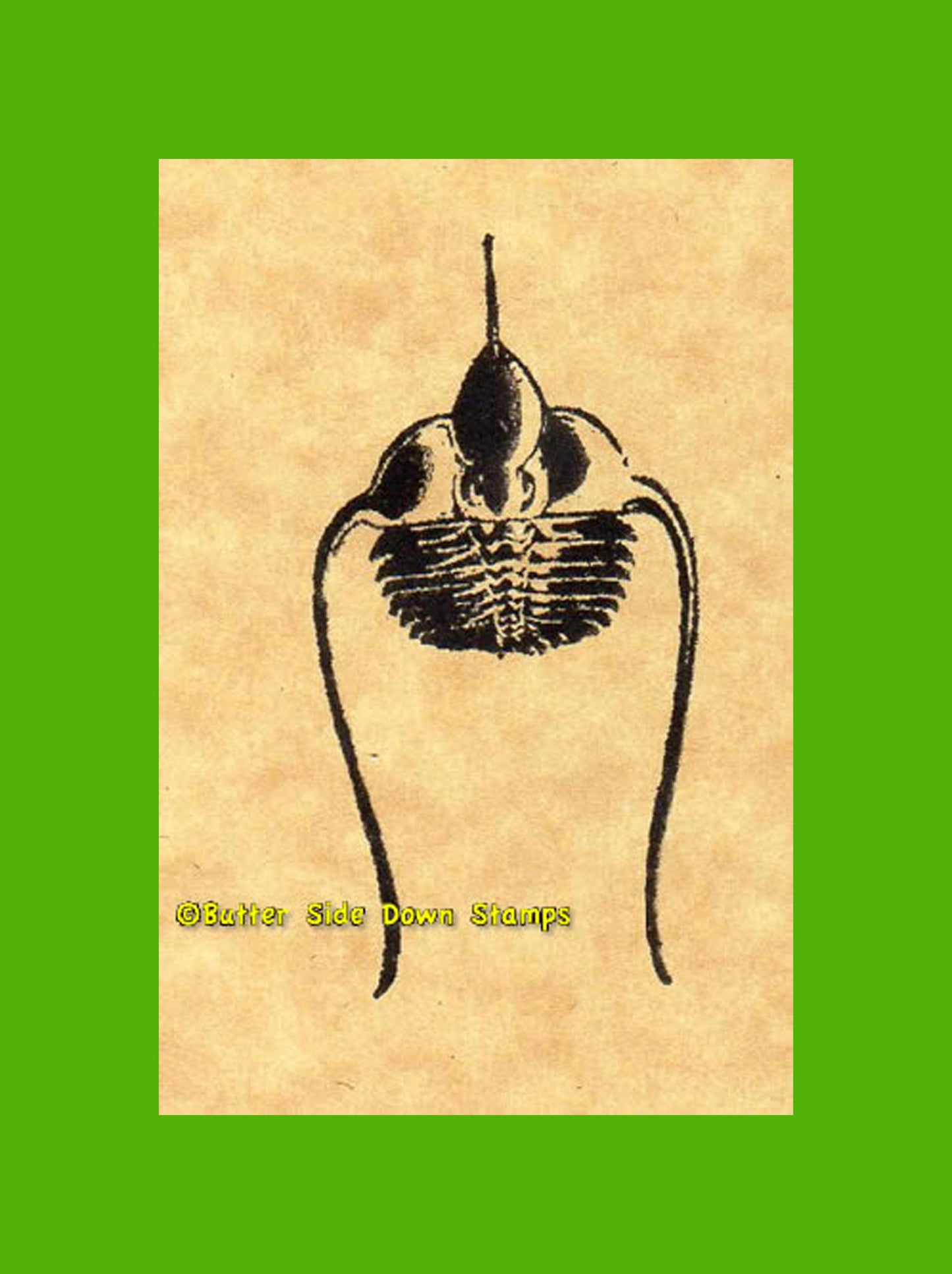 Ampyx Fossil Trilobite Rubber Stamp
