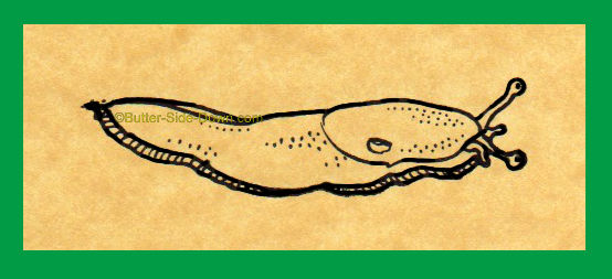 Banana Slug Rubber Stamp