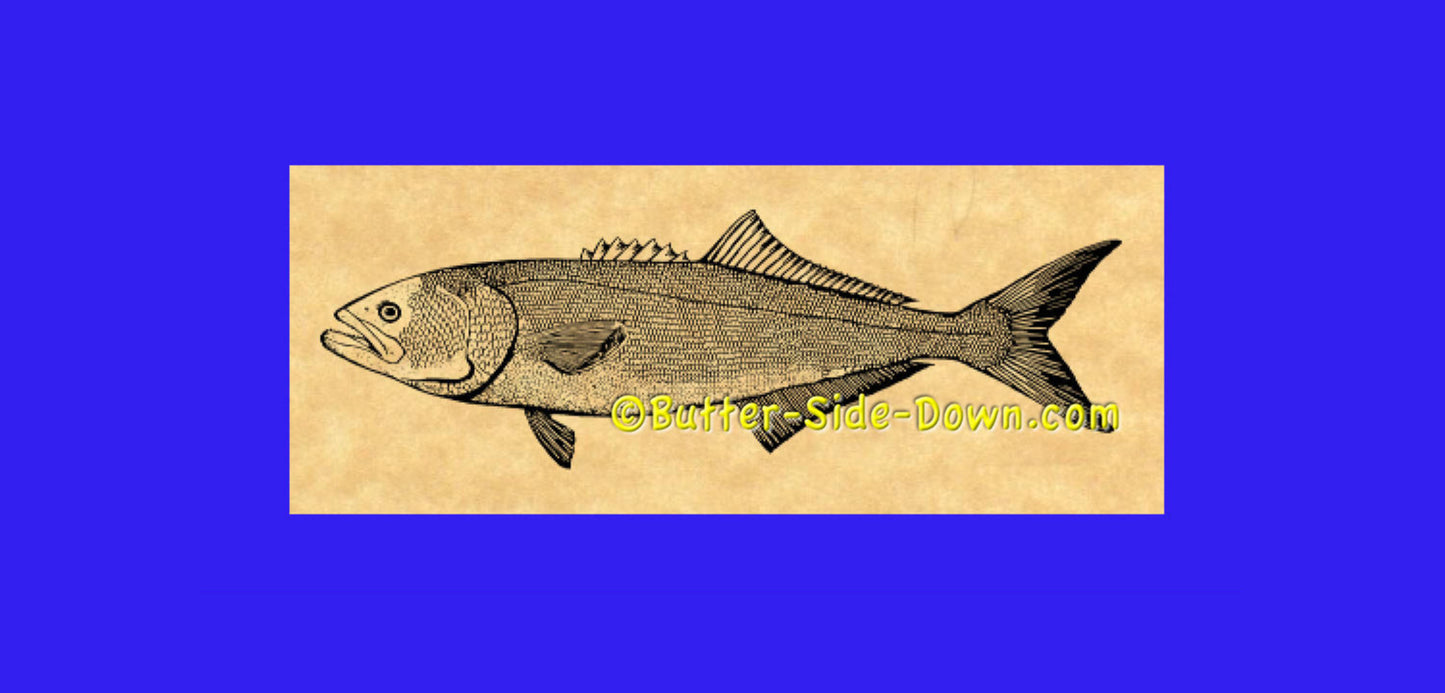 Bluefish rubber stamp