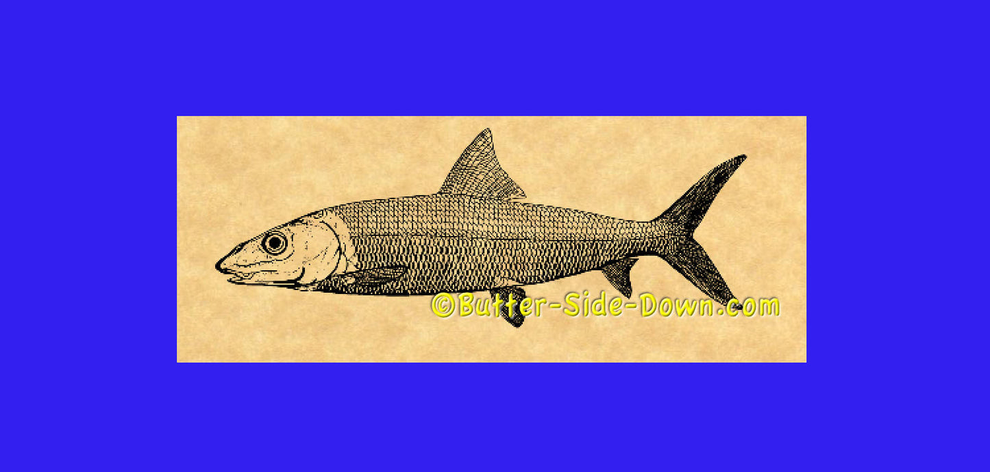 Bonefish rubber stamp