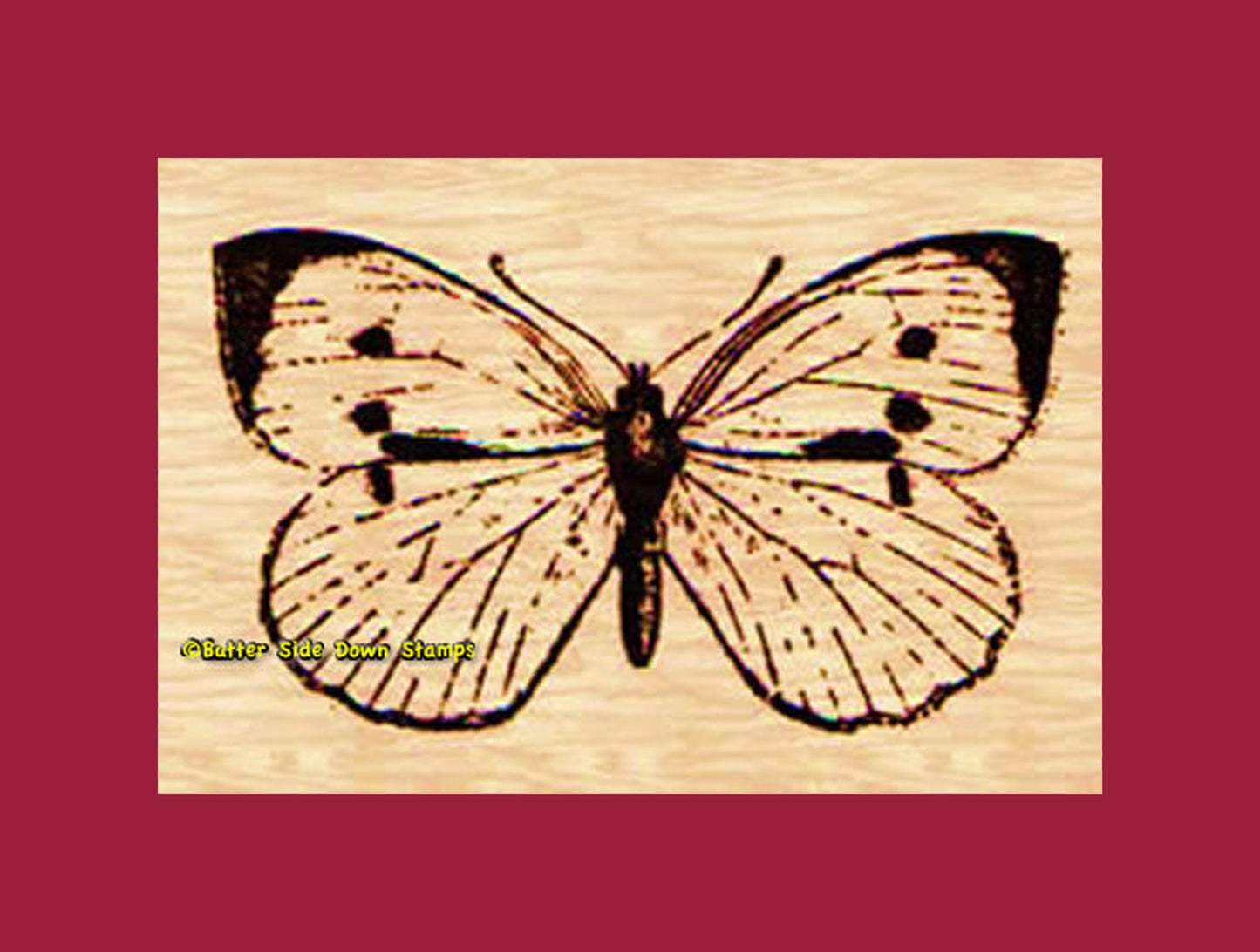 Cabbage Butterfly Rubber Stamp