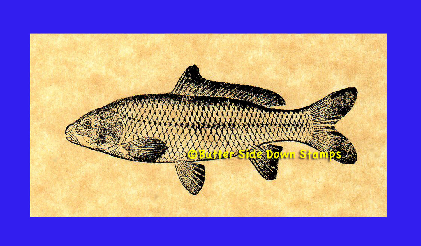 European Carp Rubber Stamp