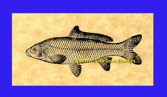 European Carp Rubber Stamp