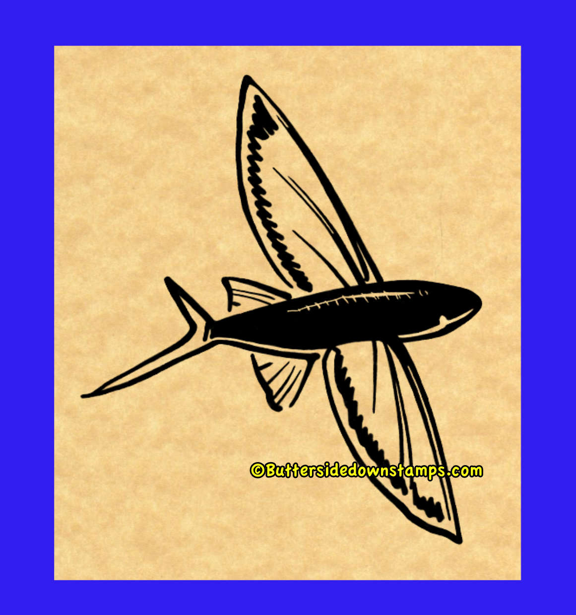 Flying Fish with Wings spread.