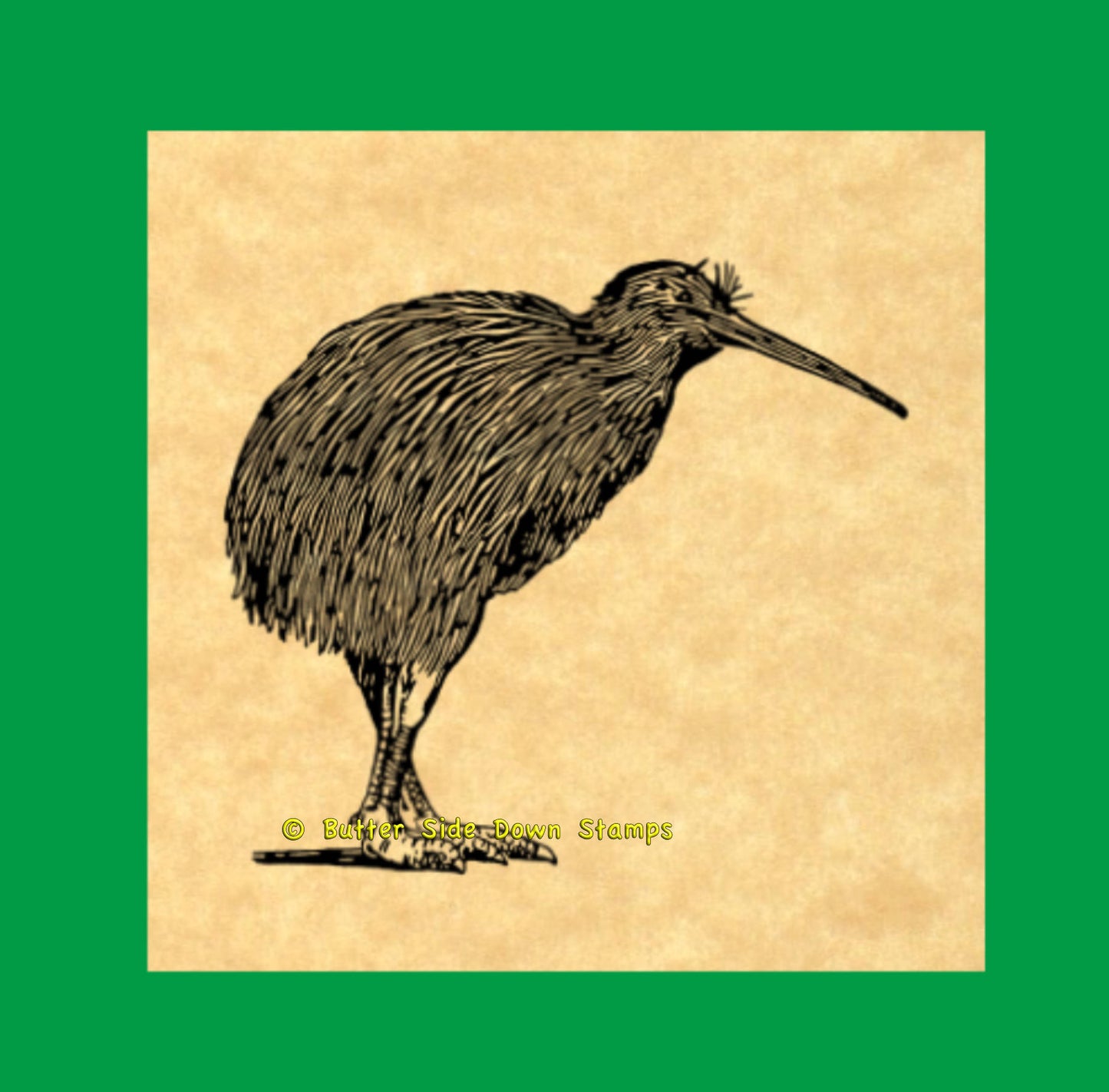 Flightless kiwi bird rubber stamp