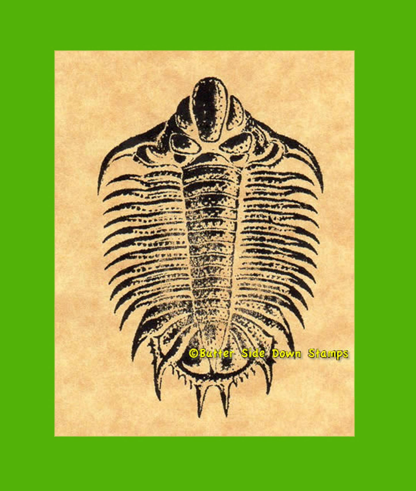 Fossil Lichas Trilobite Rubber Stamp.