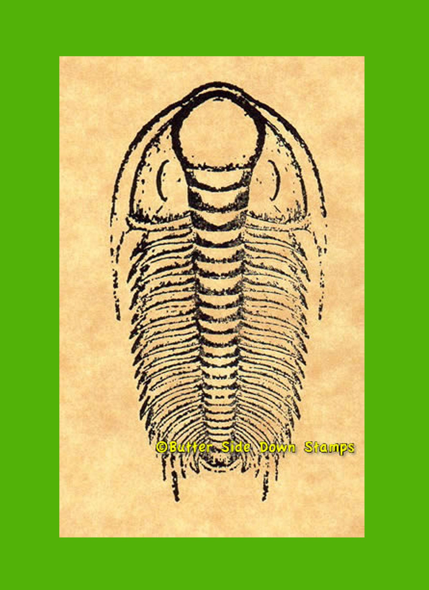 Paradoxies Trilobite Rubber Stamp