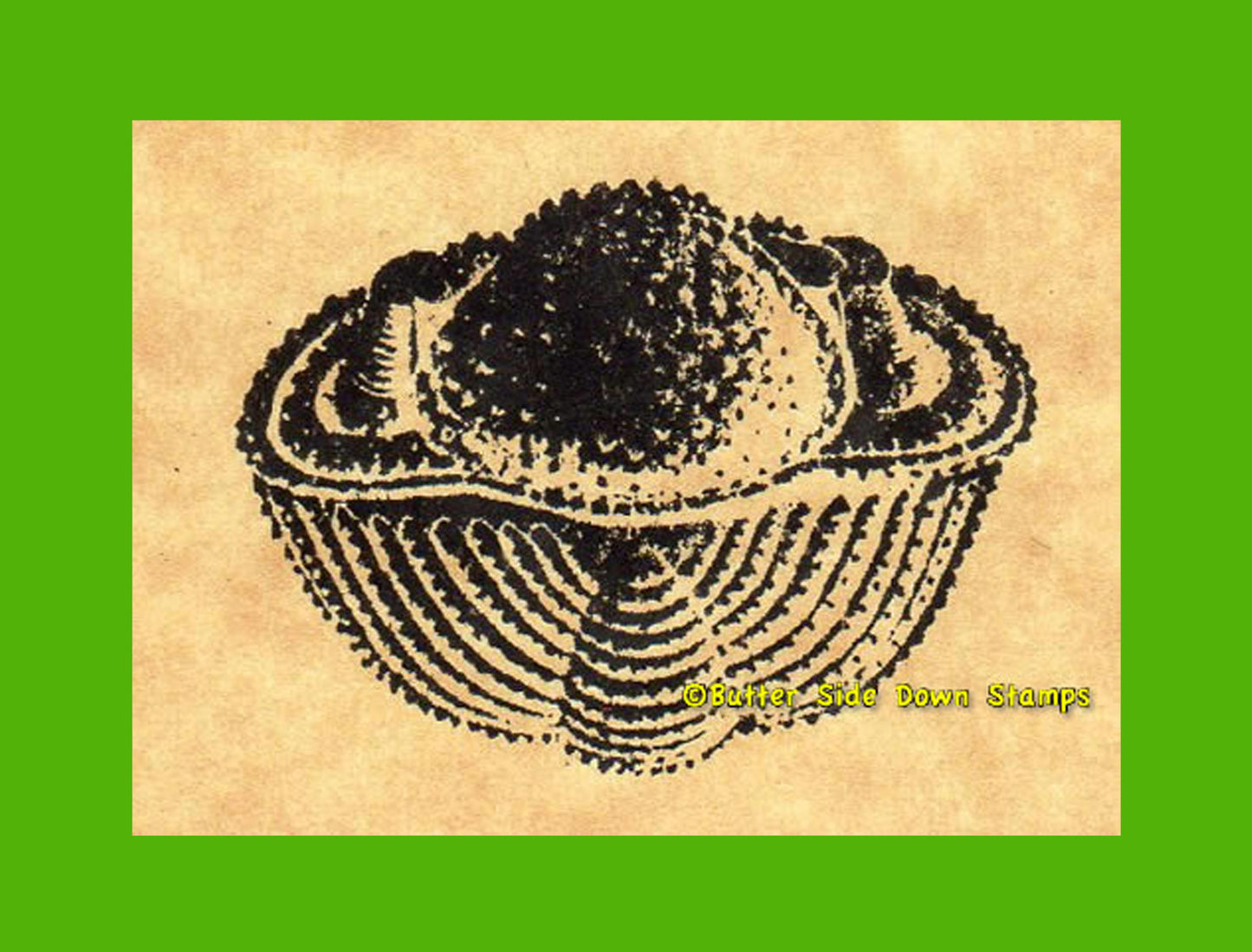 Enrolled Trilobite Rubber Stamp
