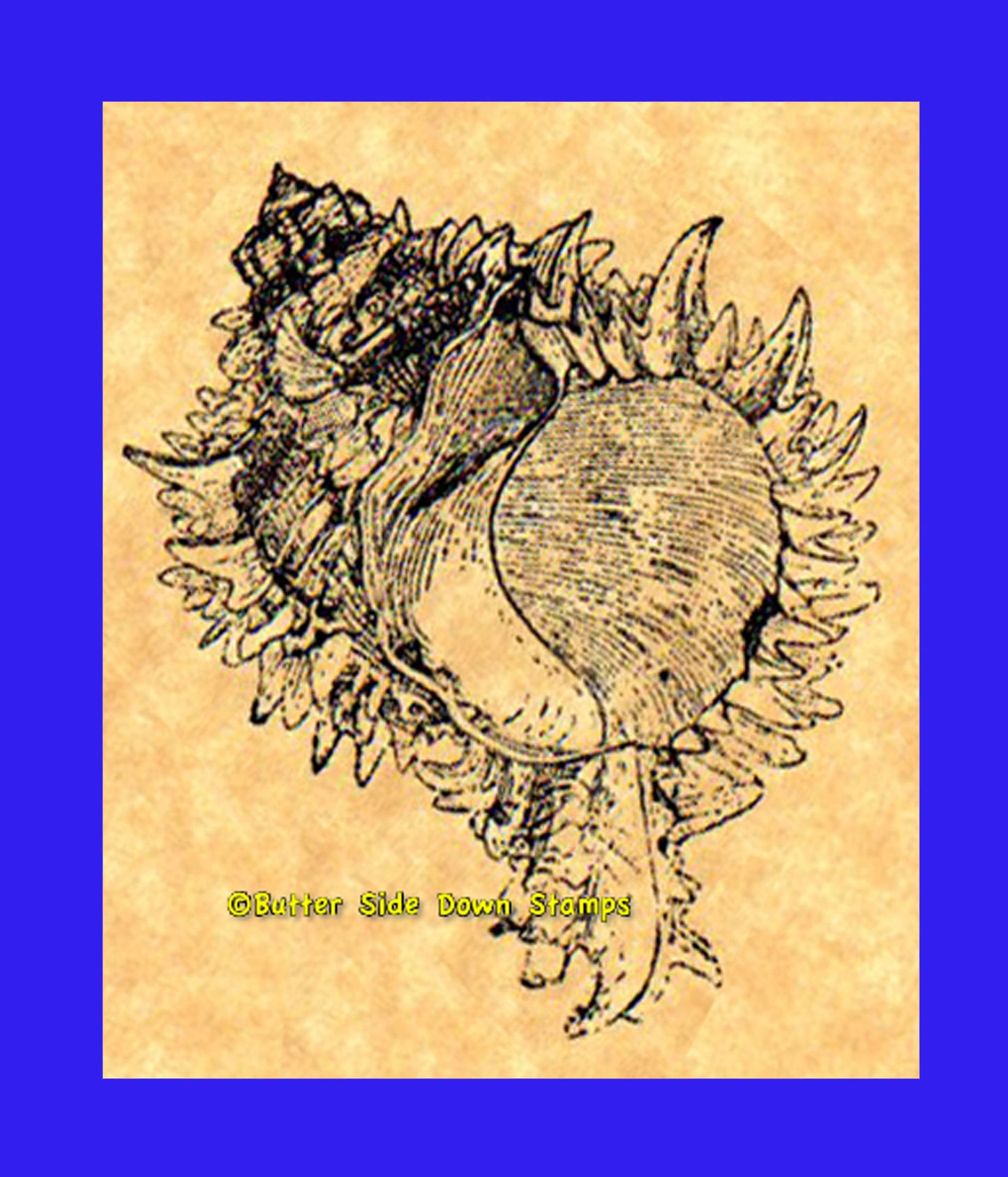 Regal Murex Shell Rubber Stamp