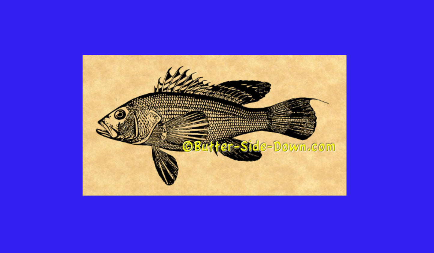 Black Sea Bass Rubber Stamp