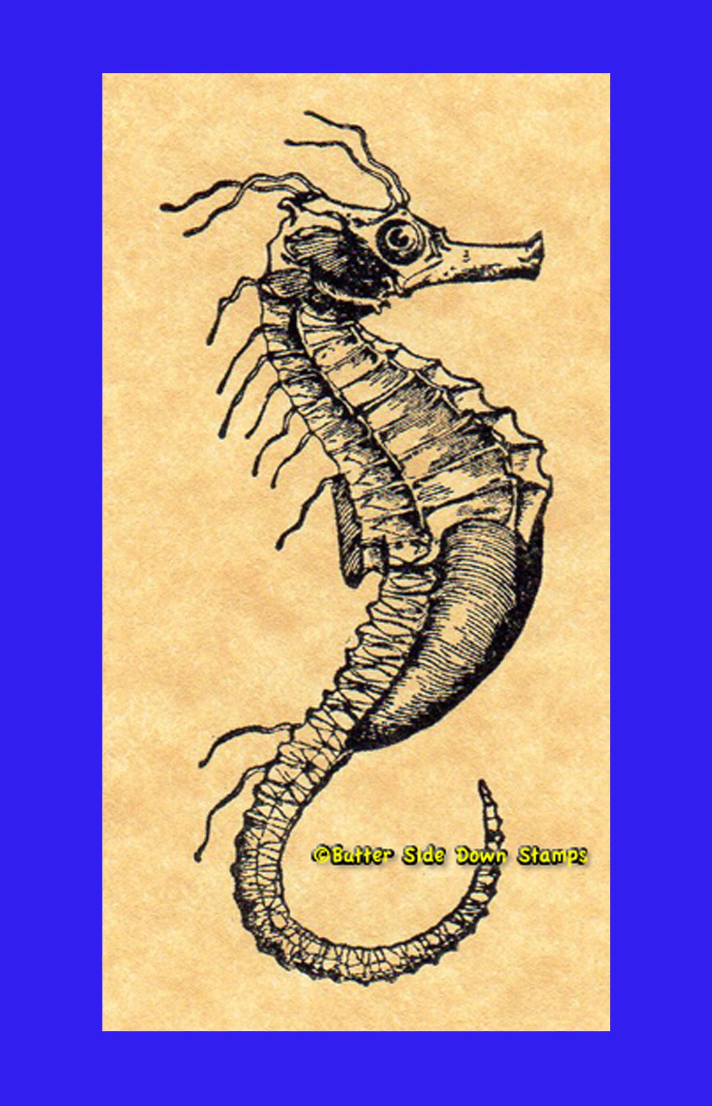 Seahorse Rubber Stamp