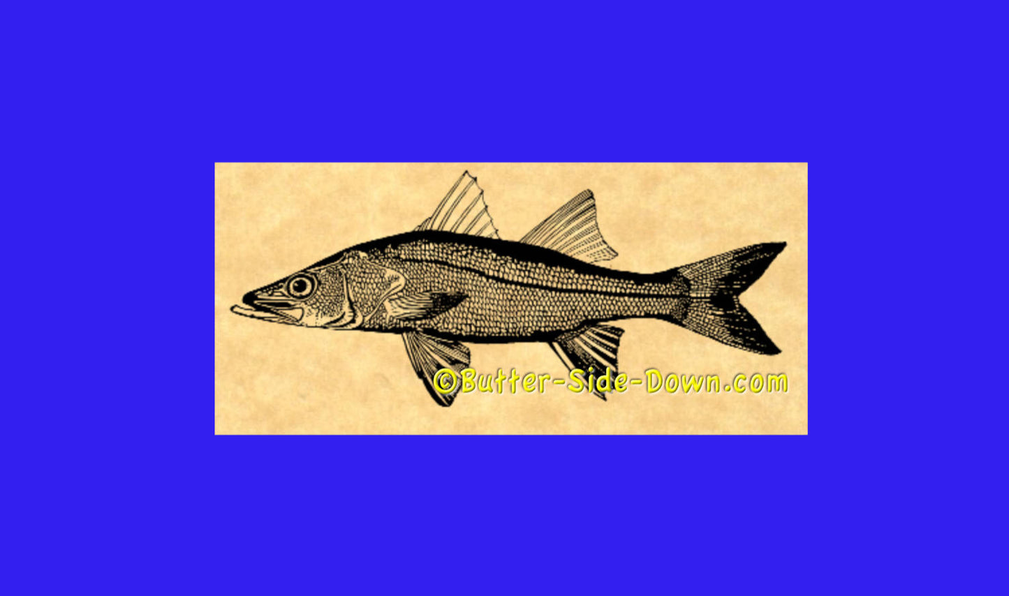 Snook Fish Rubber Stamp