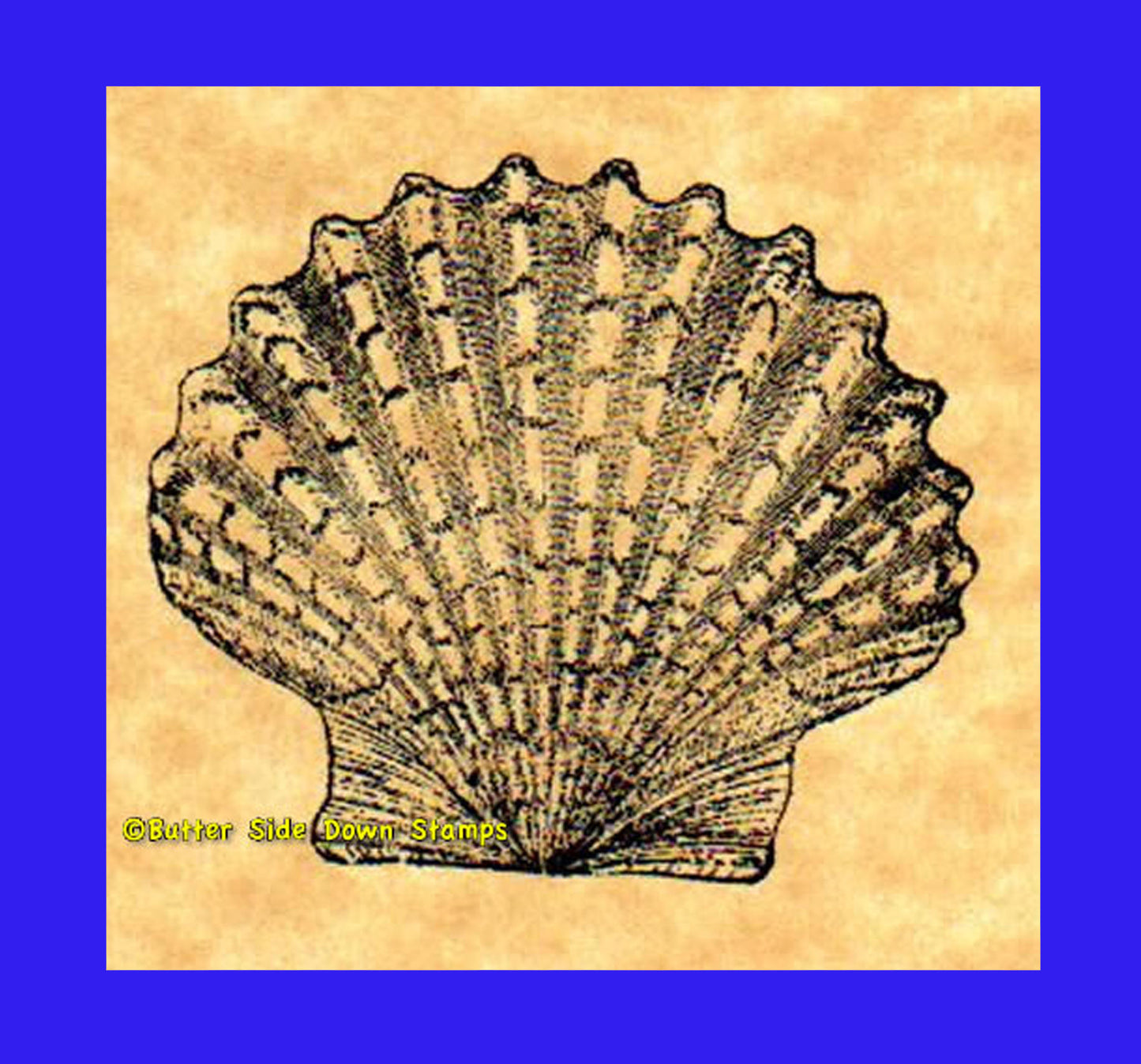 St James Cockle Shell Stamp