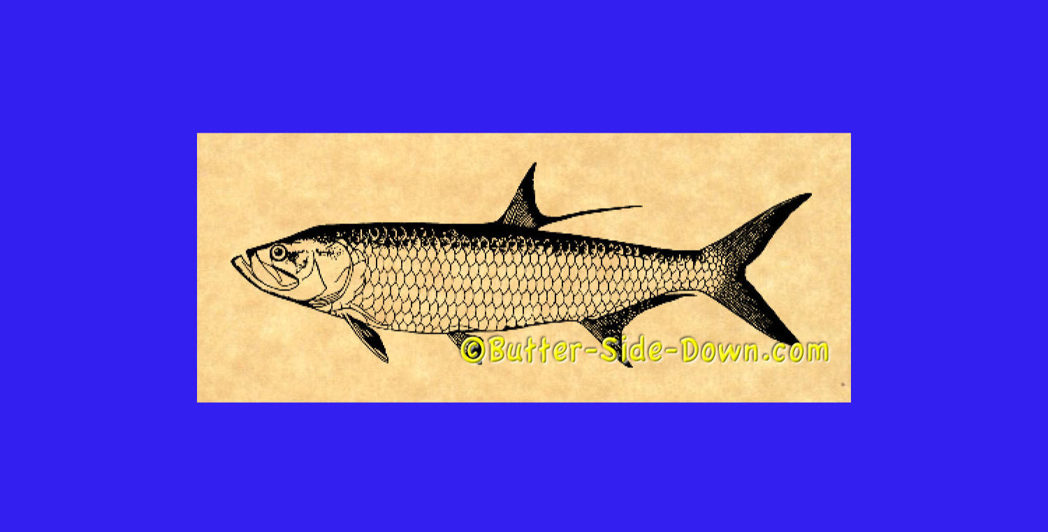 Tarpon rubber stamp