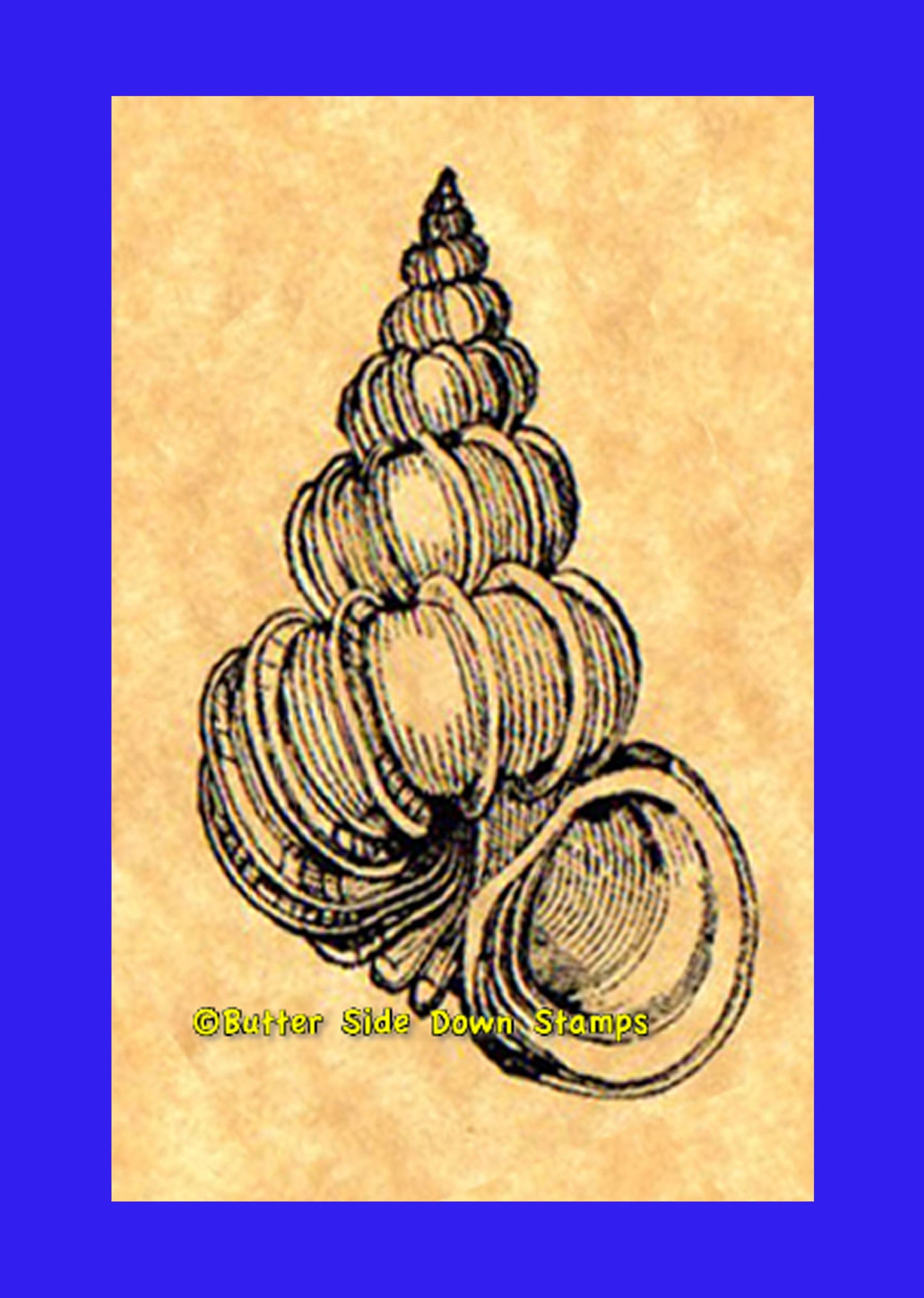 Venus Comb Murex Shell Rubber Stamp
