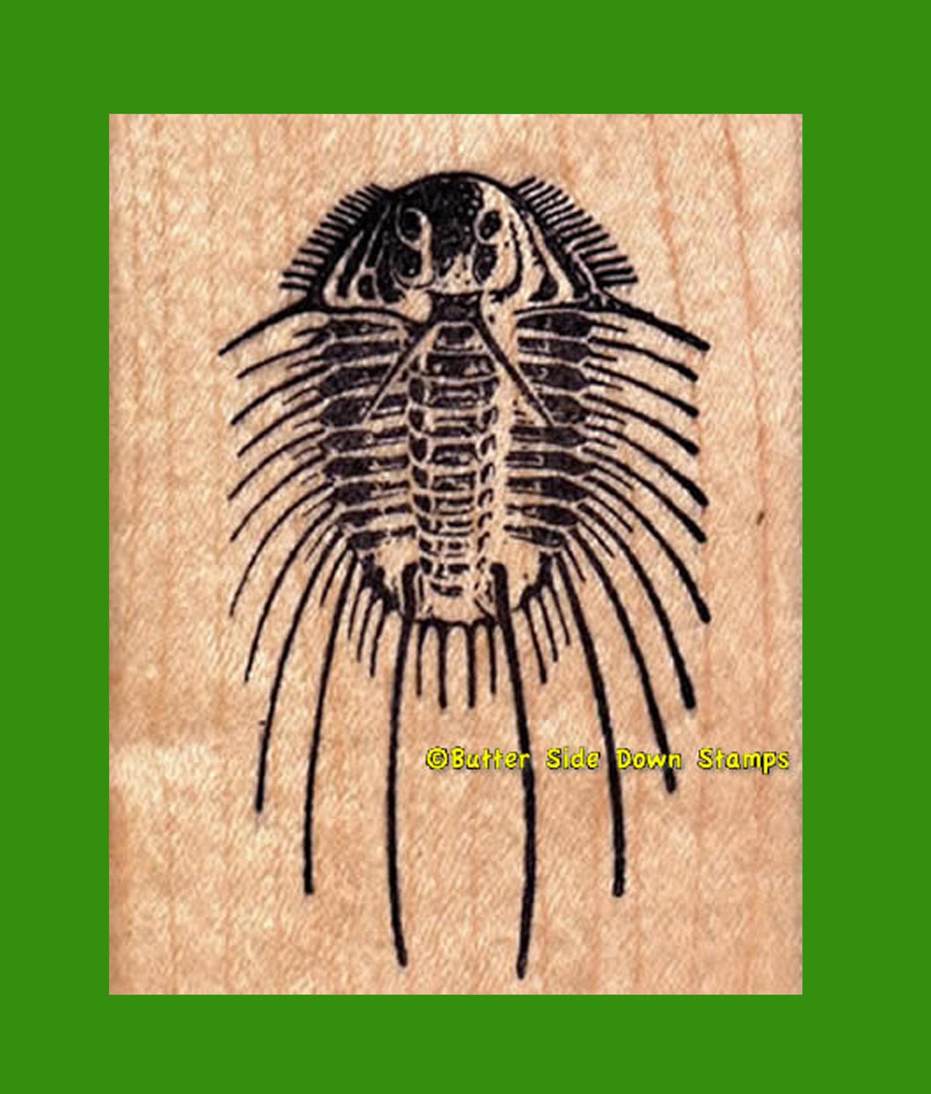 Acidaspis Fossil Trilobite Rubber Stamp
