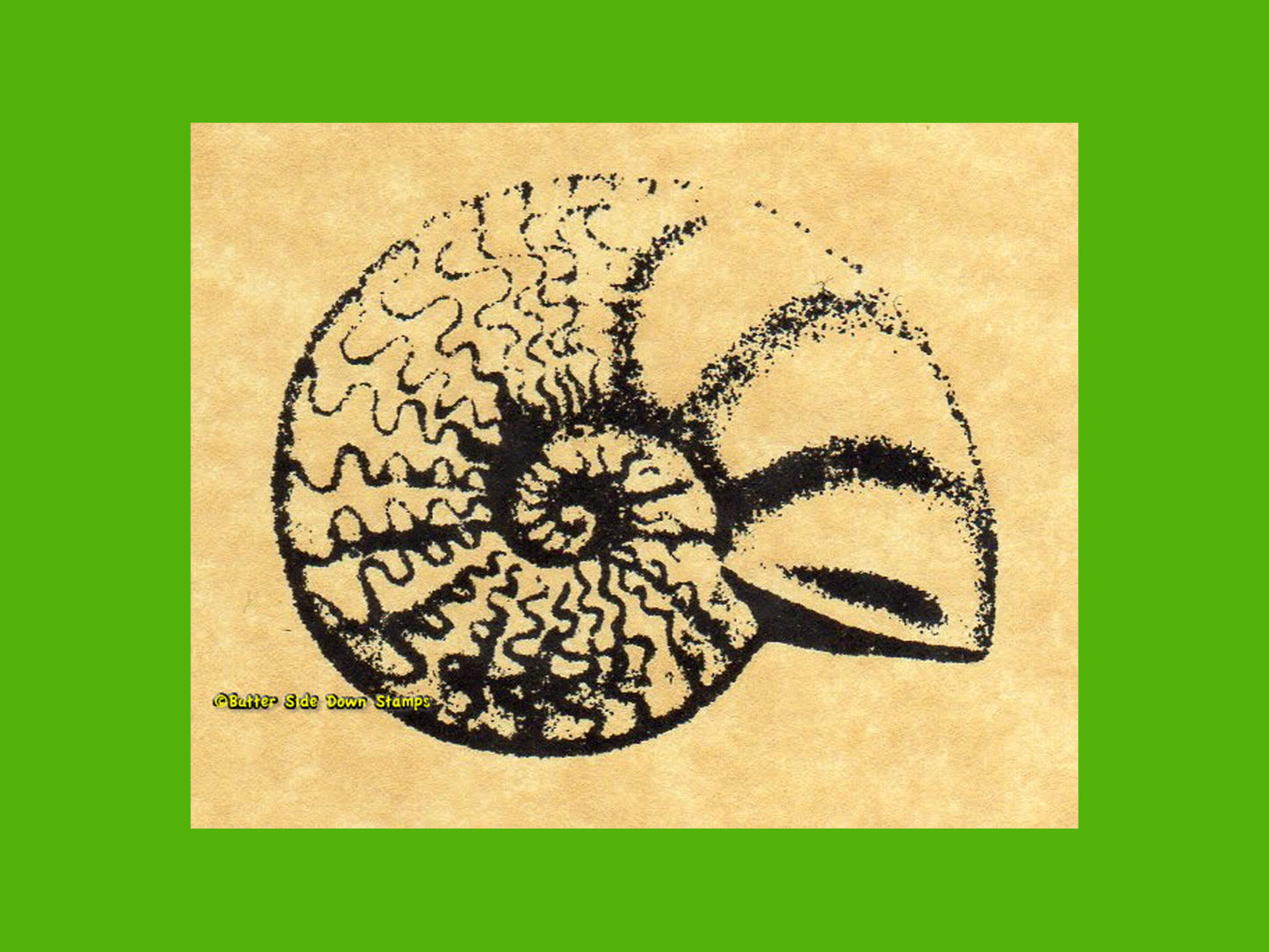 Ammonite Fossil Shell Rubber Stamp (sm)