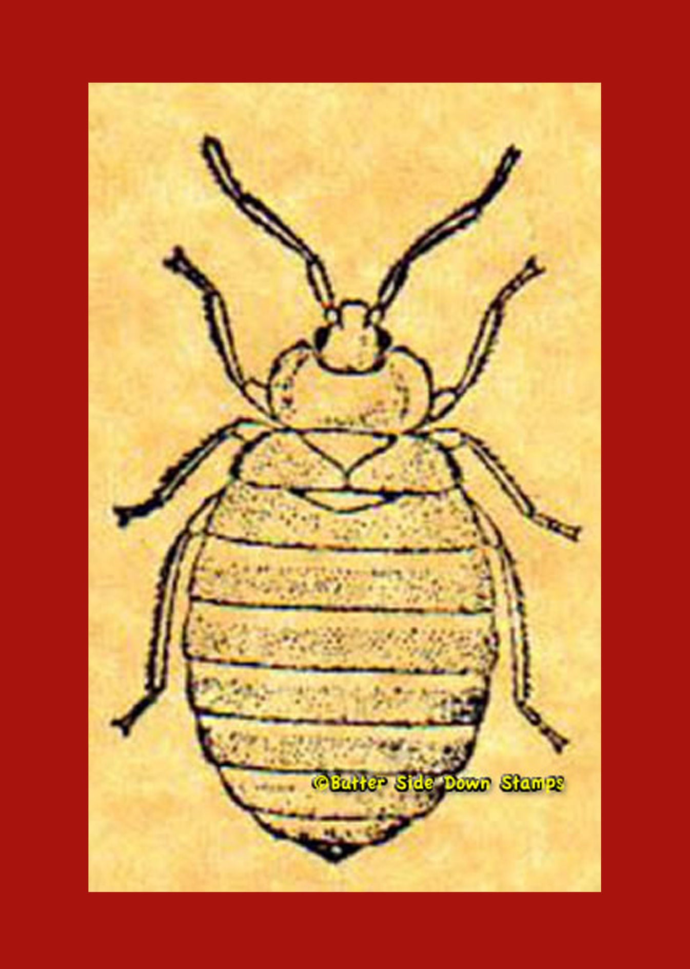 Bedbug rubber stamp