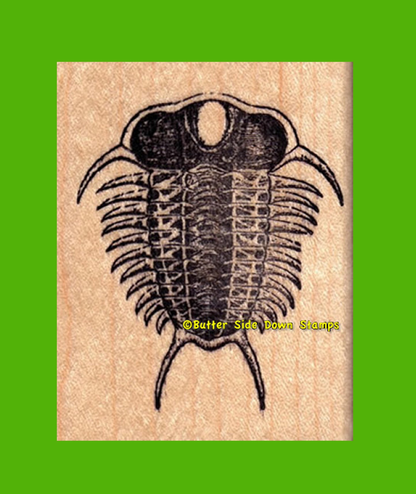 Ceraurus Trilobite Fossil Rubber Stamp.