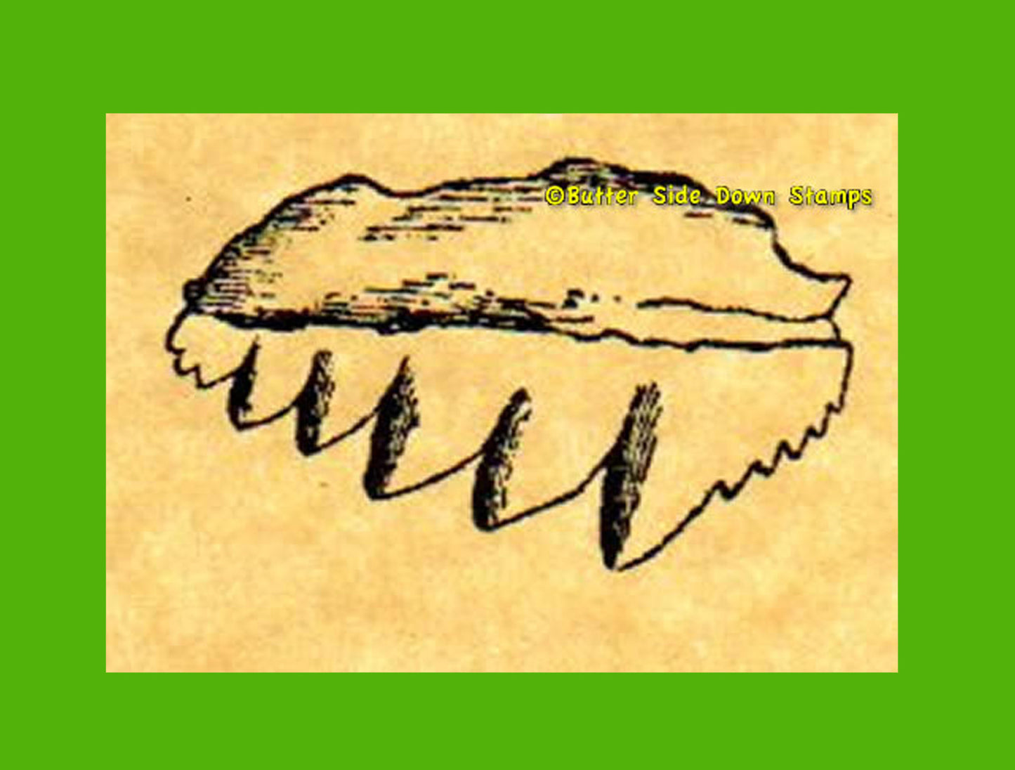 Fossil Cow Shark Tooth Rubber Stamp