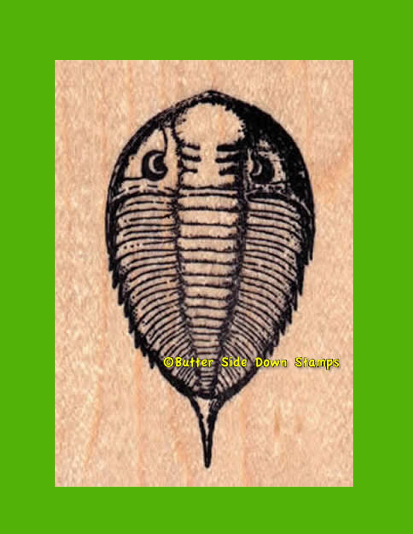 Dalmantes Trilobite Rubber Stamp