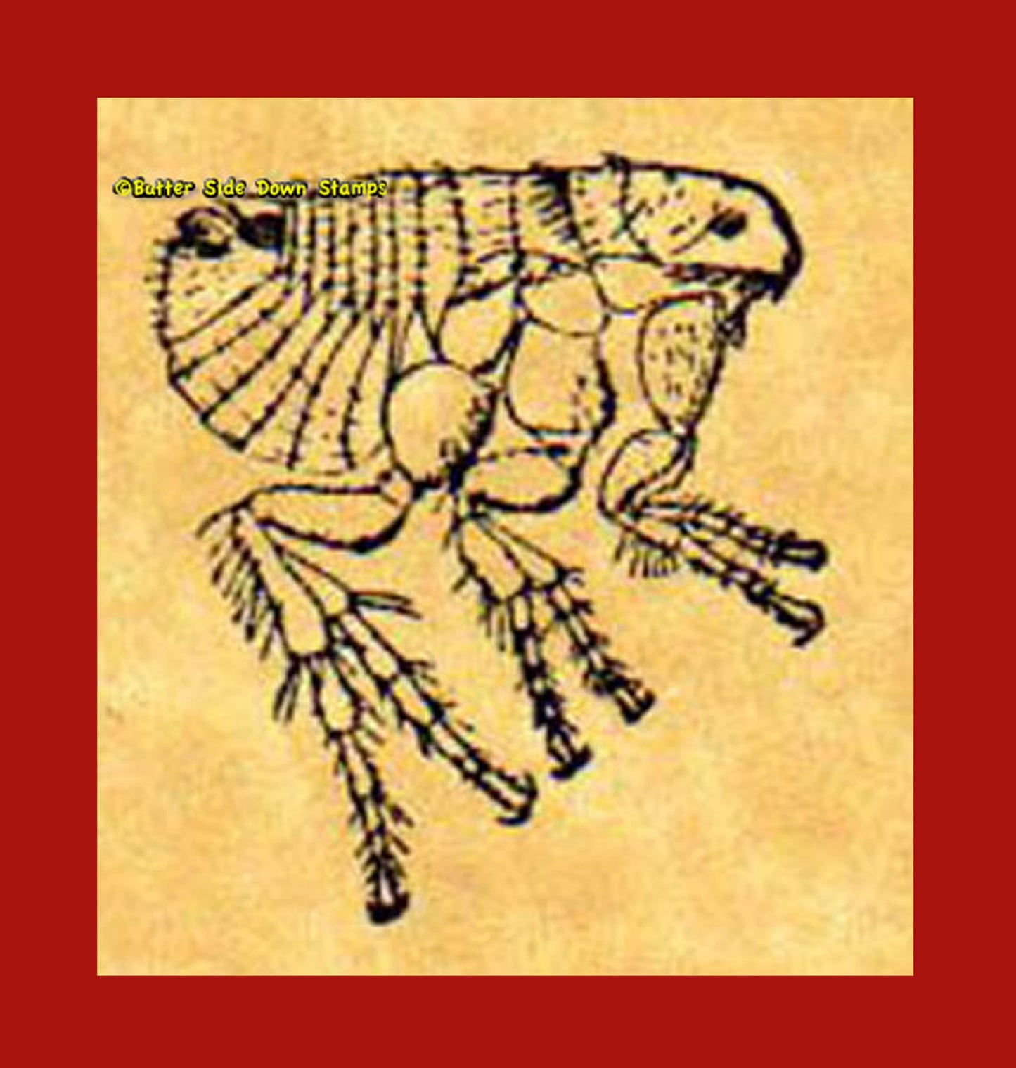 Flea rubber stamp