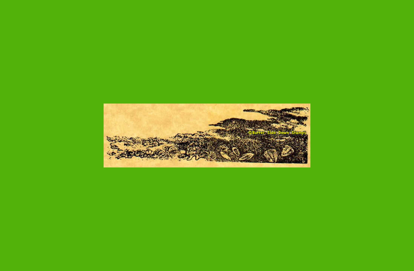 Fossil Beach Rubber Stamp