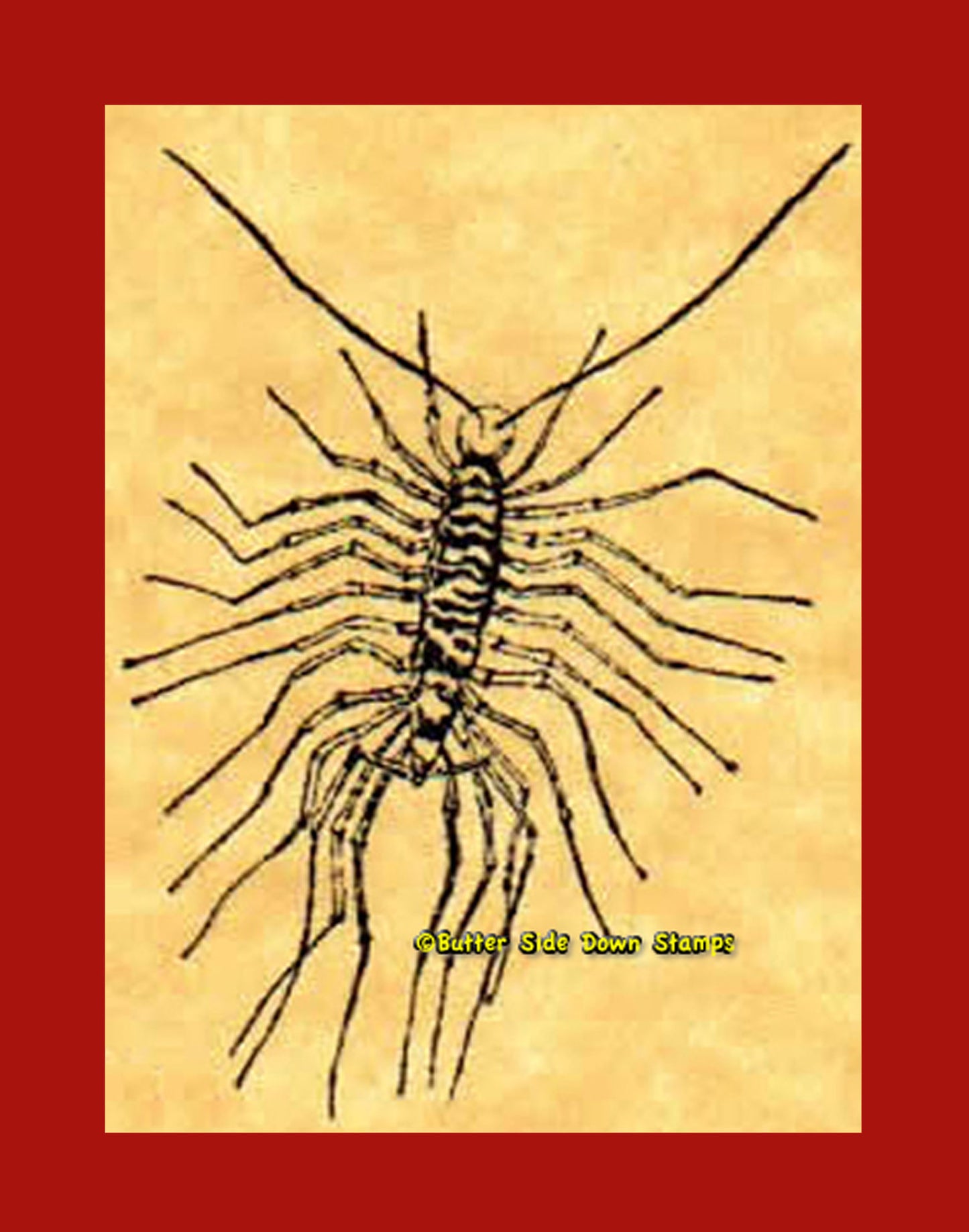 House Centipede Rubber Stamp