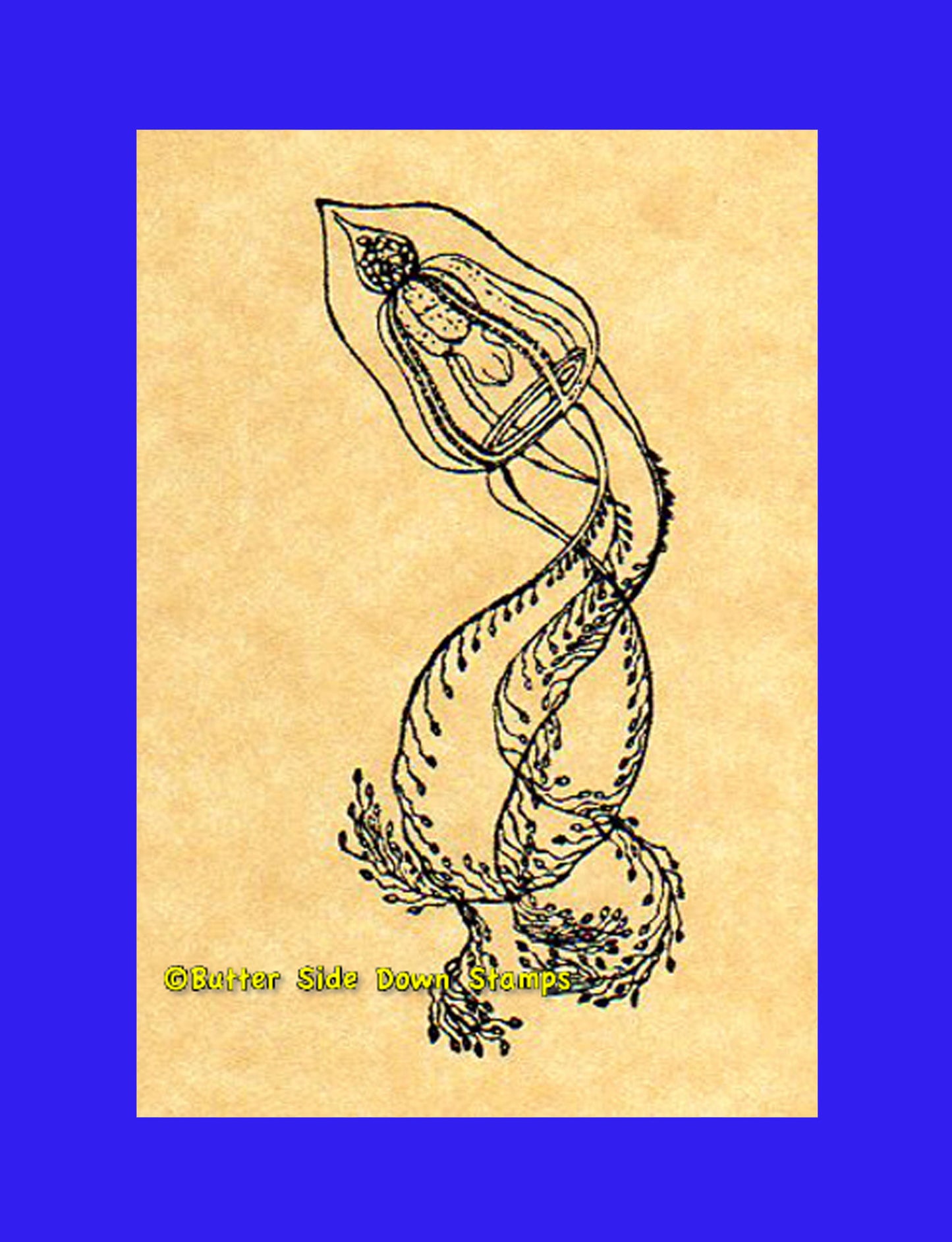 Hydromedusa pteronema Jellyfish stamp