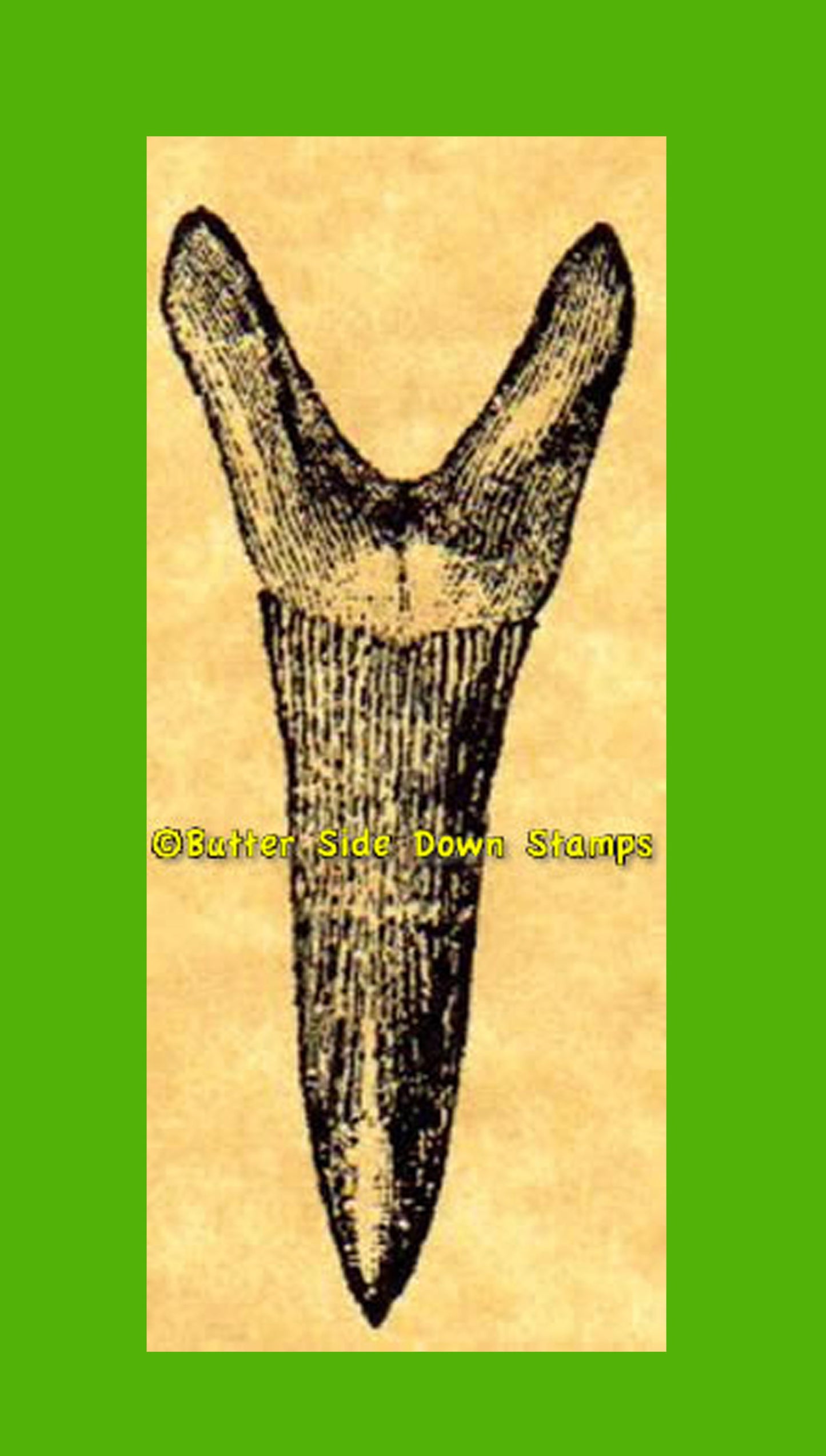 Fossil Lamna Shark Tooth Rubber Stamp