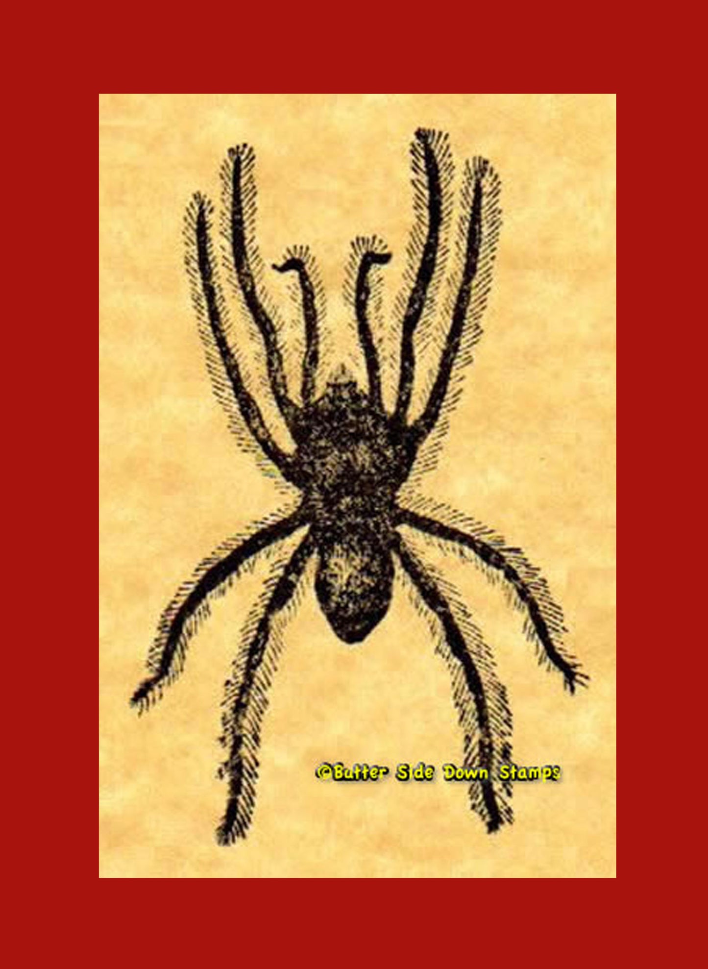 Mygale Spider Rubber Stamp