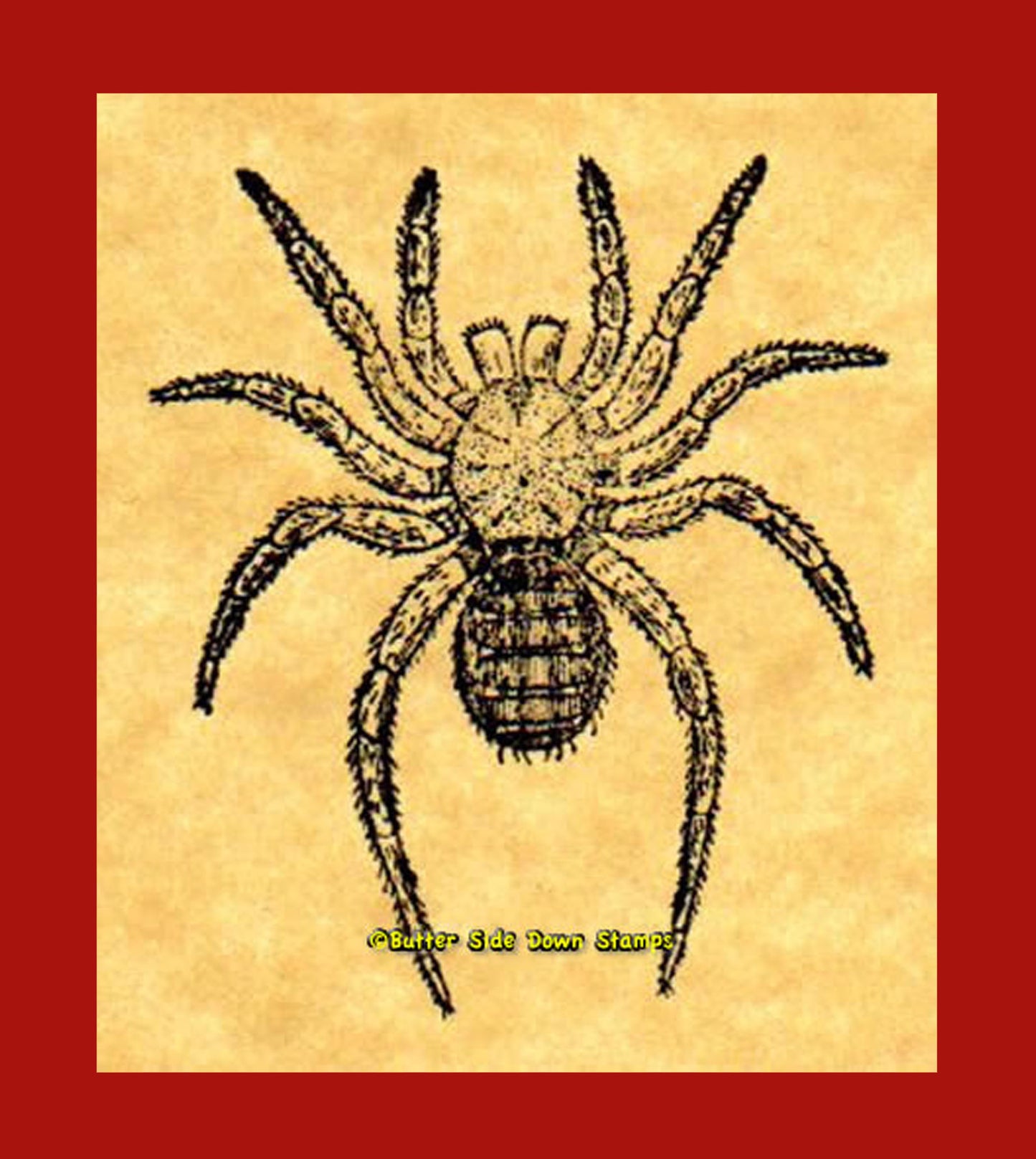 Trap Door Spider Rubber Stamp