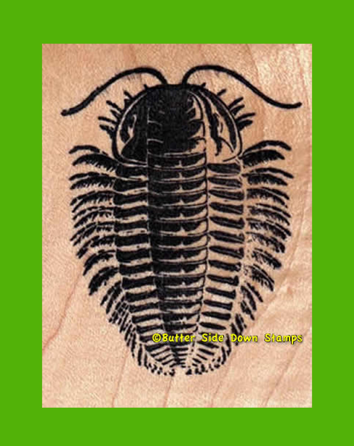 Triarthrus Trilobite Rubber Stamps