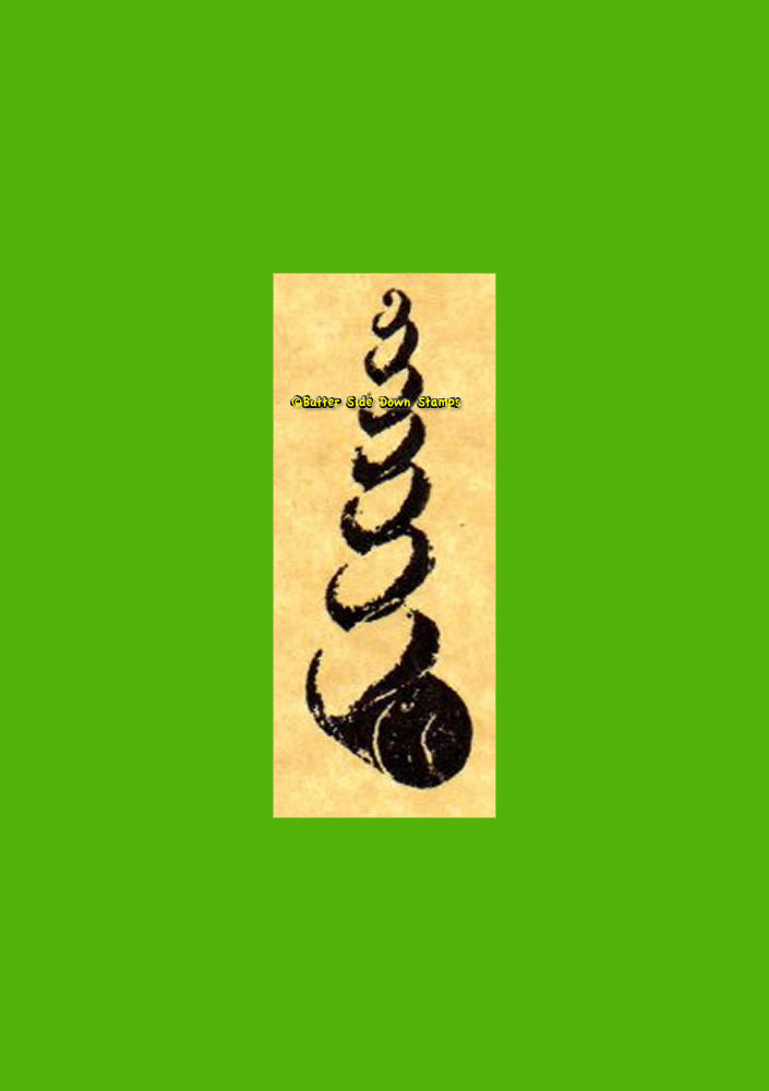 Fossil Turritella Rubber Stamp