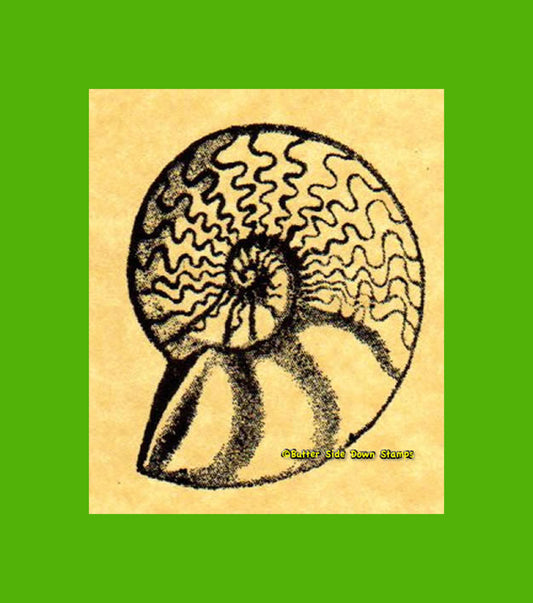 Large Ammonite Rubber Stamp