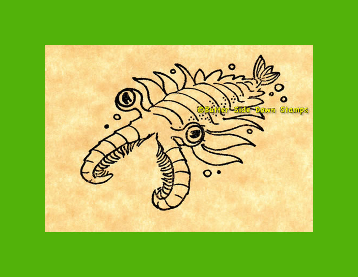 Angry Anomalocaris Burgess Shale Fossil Rubber Stamp