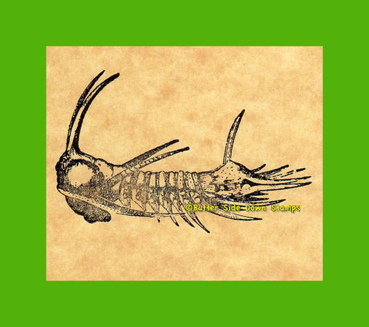 Arges Fossil Trilobite Rubber Stamp