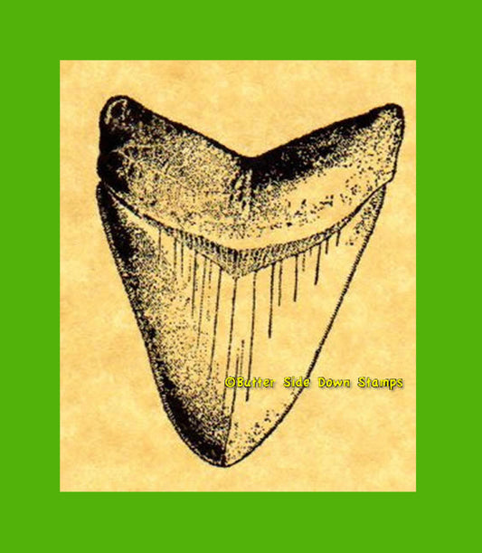 Megalodon Tooth Rubber Stamp (sm)