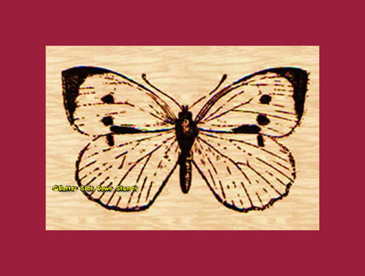 Cabbage Butterfly Rubber Stamp 