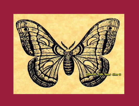 Cecropia Moth Rubber Stamp