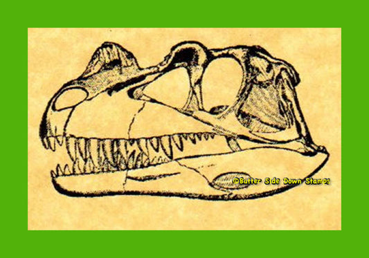 Ceratosaurus Dinosaur Skull Rubber Stamp