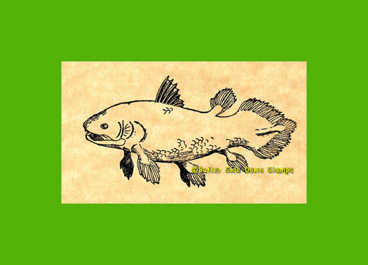 Coelacanth Fish Living Fossil Fish Rubber Stamp