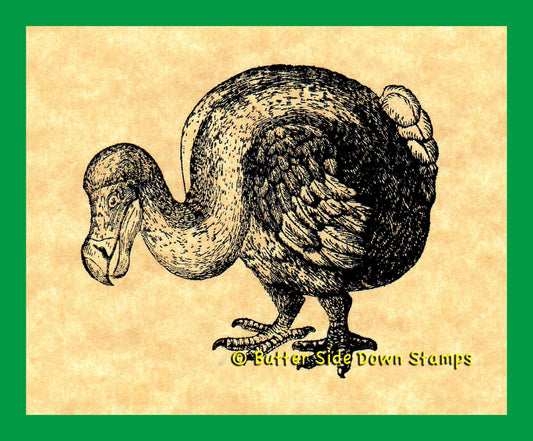 Extinct Dodo Bird Rubber Stamp