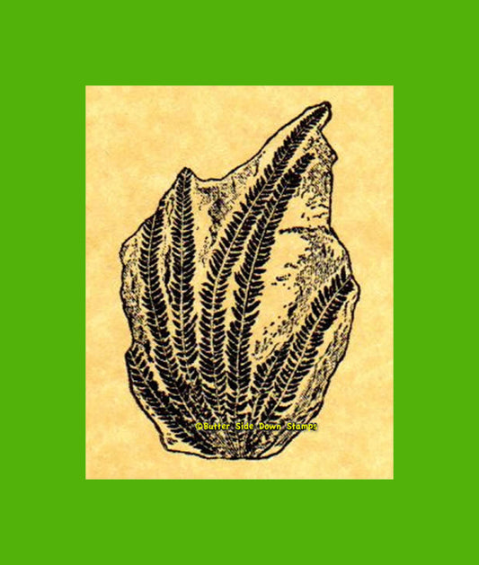 Fossil Fern Rubber Stamp