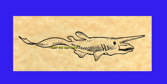 Goblin Shark Rubber Stamp