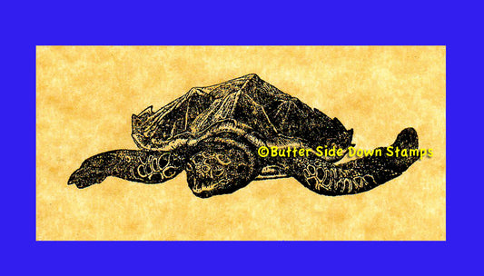 Hawksbill Sea Turtle Rubber Stamp