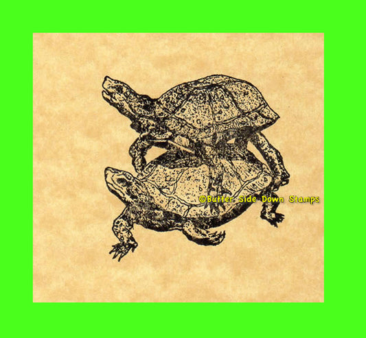 Mating box turtles rubber stamp