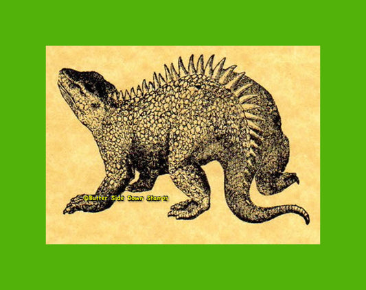 Hylaeosaurus Dinosaur Rubber Stamp