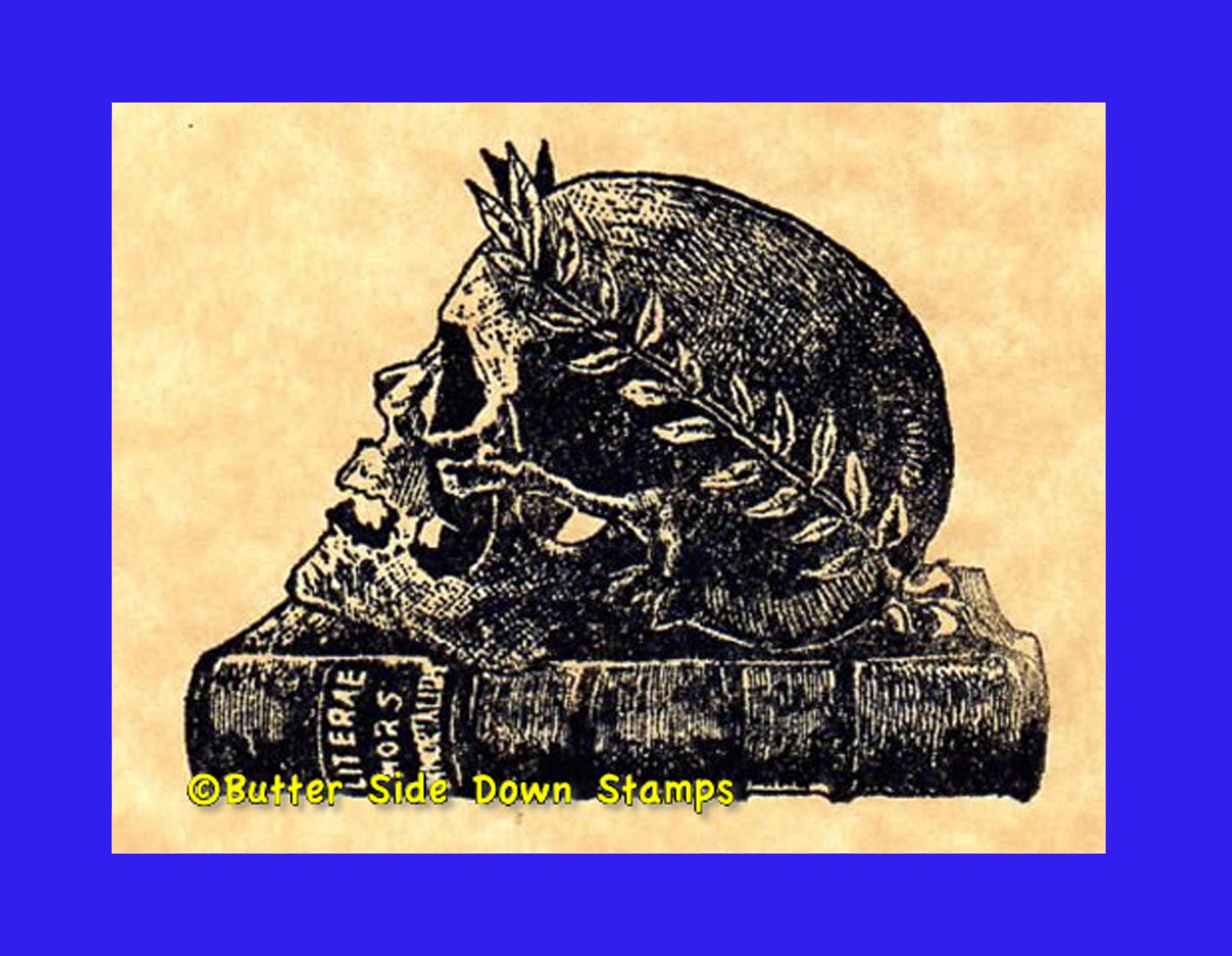 Skull with Roman laurel on a book rubber stamp